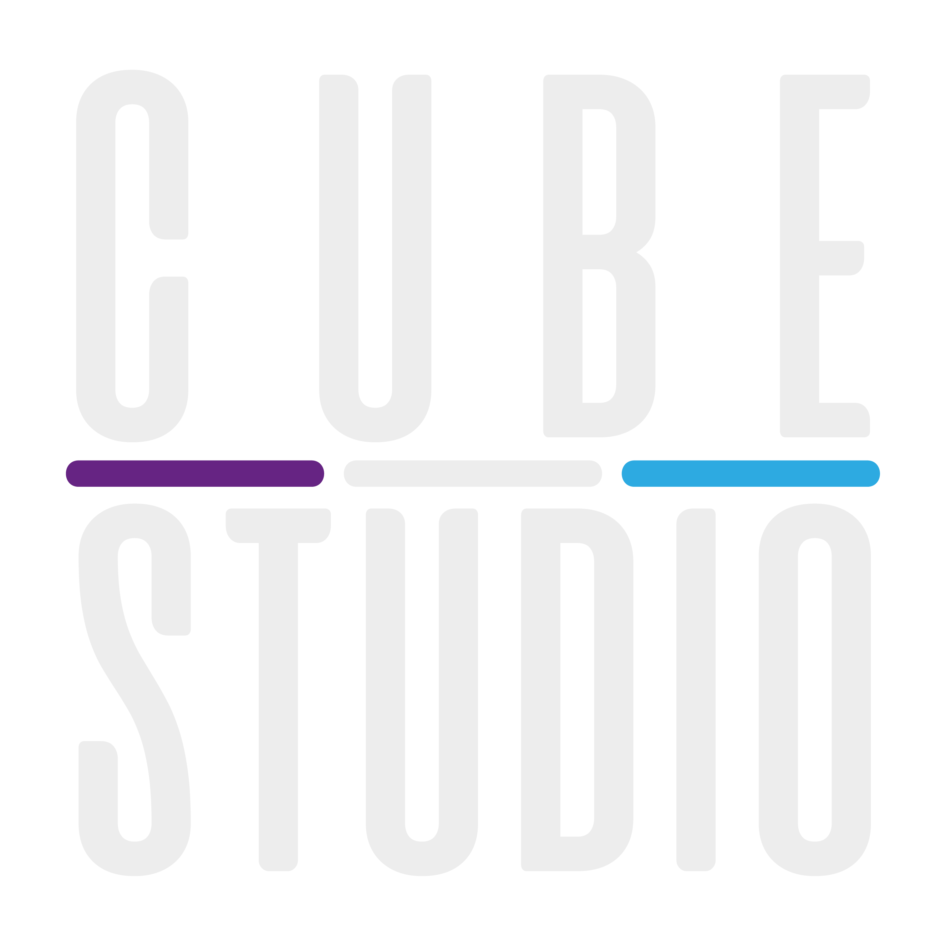 Cube Studio Logo